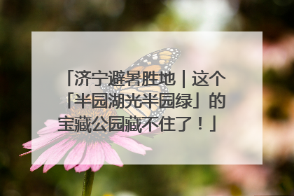 济宁避暑胜地｜这个「半园湖光半园绿」的宝藏公园藏不住了！