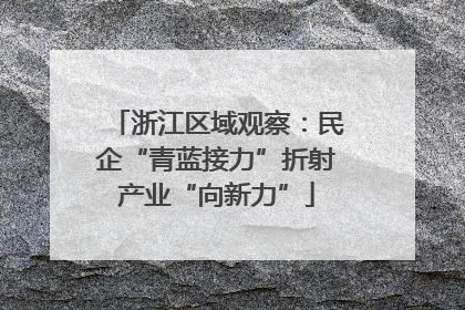 浙江区域观察：民企“青蓝接力”折射产业“向新力”