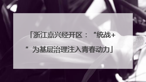 浙江嘉兴经开区：“统战+”为基层治理注入青春动力