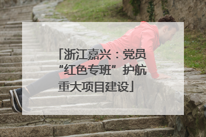 浙江嘉兴：党员“红色专班”护航重大项目建设