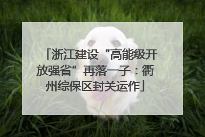 浙江建设“高能级开放强省”再落一子：衢州综保区封关运作