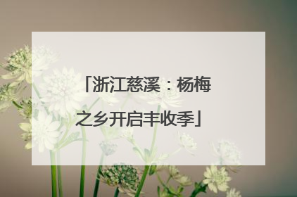 浙江慈溪：杨梅之乡开启丰收季