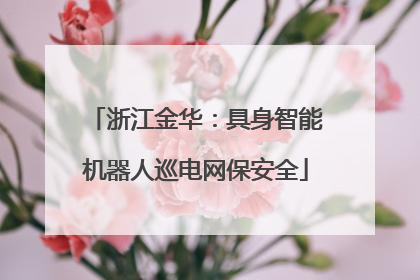 浙江金华：具身智能机器人巡电网保安全