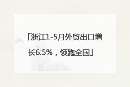 浙江1-5月外贸出口增长6.5%，领跑全国
