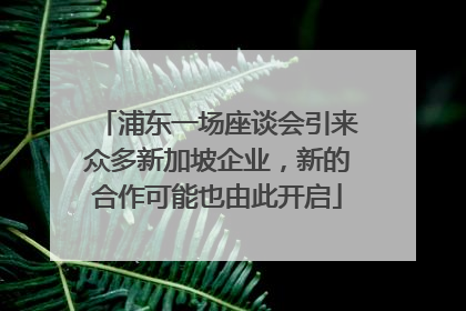 浦东一场座谈会引来众多新加坡企业，新的合作可能也由此开启