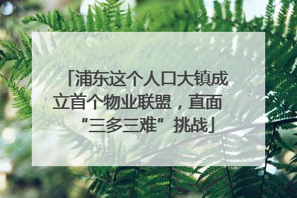 浦东这个人口大镇成立首个物业联盟，直面“三多三难”挑战