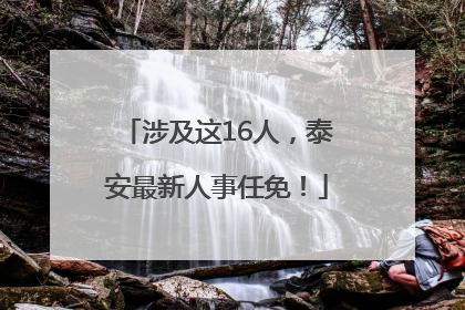涉及这16人，泰安最新人事任免！