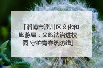 淄博市淄川区文化和旅游局：文旅法治进校园 守护青春筑防线