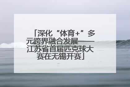 深化“体育+”多元跨界融合发展——江苏省首届匹克球大赛在无锡开赛