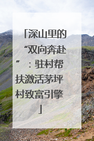 深山里的“双向奔赴”：驻村帮扶激活茅坪村致富引擎