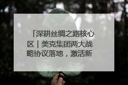 深耕丝绸之路核心区｜美克集团两大战略协议落地，激活新疆开放新动能
