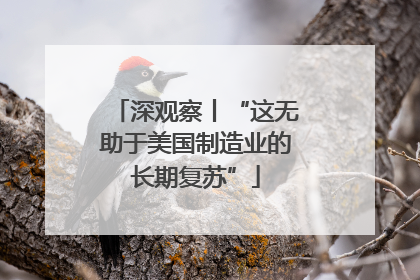 深观察丨“这无助于美国制造业的长期复苏”