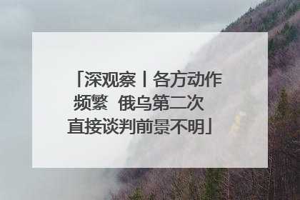 深观察丨各方动作频繁  俄乌第二次直接谈判前景不明
