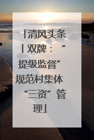 清风头条丨双牌：“提级监督”规范村集体“三资”管理