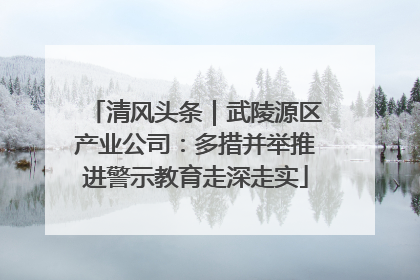 清风头条｜武陵源区产业公司：多措并举推进警示教育走深走实