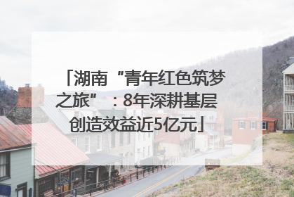 湖南“青年红色筑梦之旅”：8年深耕基层创造效益近5亿元