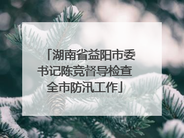 湖南省益阳市委书记陈竞督导检查全市防汛工作
