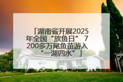 湖南省开展2025年全国“放鱼日” 7200多万尾鱼苗游入“一湖四水”