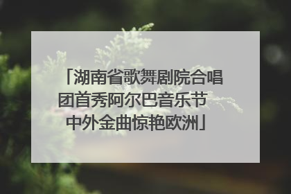 湖南省歌舞剧院合唱团首秀阿尔巴音乐节 中外金曲惊艳欧洲