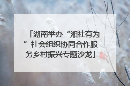 湖南举办“湘社有为”社会组织协同合作服务乡村振兴专题沙龙