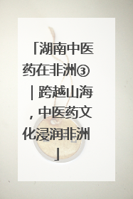 湖南中医药在非洲③｜跨越山海，中医药文化浸润非洲