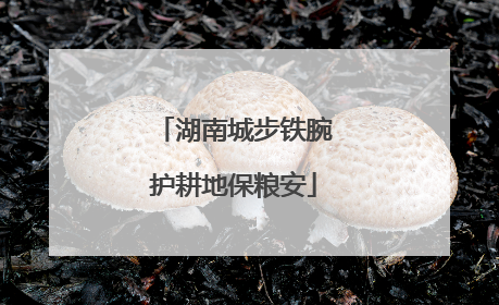 湖南城步铁腕护耕地保粮安