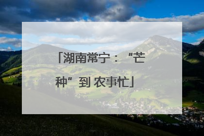 湖南常宁：“芒种”到 农事忙