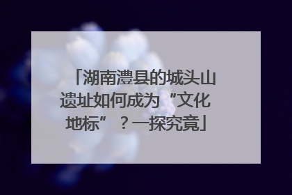 湖南澧县的城头山遗址如何成为“文化地标”？一探究竟