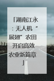 湖南江永：无人机“展翅”农田 开启高效农业新篇章