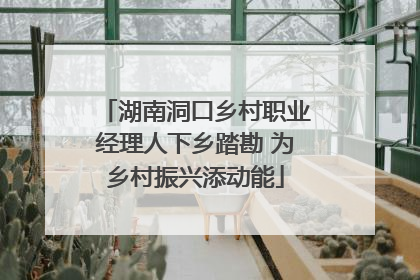 湖南洞口乡村职业经理人下乡踏勘 为乡村振兴添动能