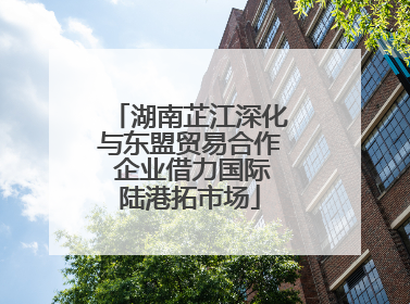 湖南芷江深化与东盟贸易合作 企业借力国际陆港拓市场