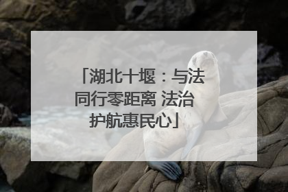 湖北十堰：与法同行零距离 法治护航惠民心