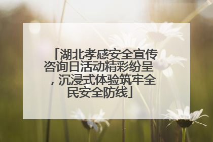 湖北孝感安全宣传咨询日活动精彩纷呈，沉浸式体验筑牢全民安全防线