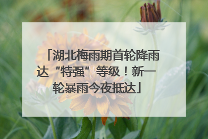 湖北梅雨期首轮降雨达“特强”等级！新一轮暴雨今夜抵达