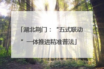 湖北荆门：“五式联动”一体推进精准普法