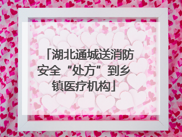 湖北通城送消防安全“处方”到乡镇医疗机构