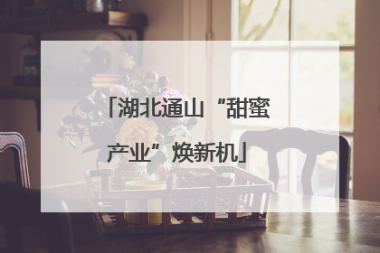 湖北通山“甜蜜产业”焕新机