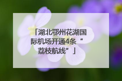 湖北鄂州花湖国际机场开通4条“荔枝航线”