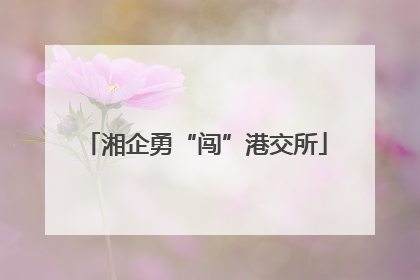 湘企勇“闯”港交所