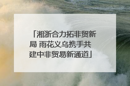 湘浙合力拓非贸新局 雨花义乌携手共建中非贸易新通道