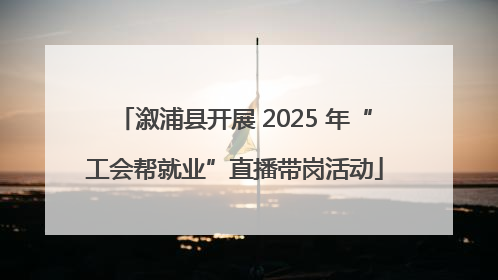 溆浦县开展 2025 年“工会帮就业”直播带岗活动