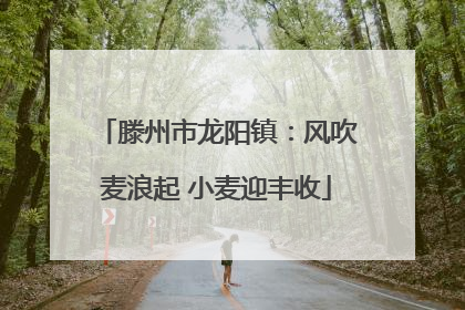 滕州市龙阳镇：风吹麦浪起 小麦迎丰收