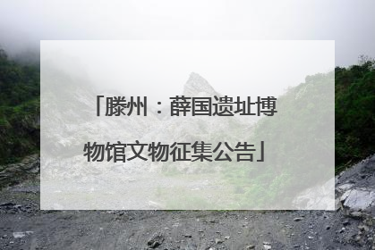滕州：薛国遗址博物馆文物征集公告