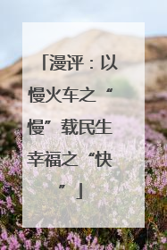 漫评：以慢火车之“慢”载民生幸福之“快”