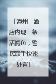 漳州一酒店内现一条活鳄鱼，警民联手快速处置