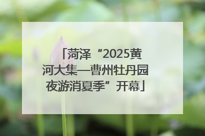 菏泽“2025黄河大集—曹州牡丹园夜游消夏季”开幕