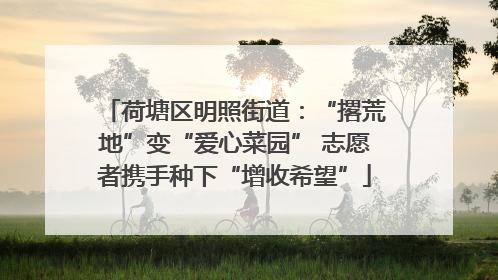 荷塘区明照街道：“撂荒地”变“爱心菜园” 志愿者携手种下“增收希望”