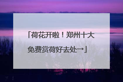 荷花开啦！郑州十大免费赏荷好去处→