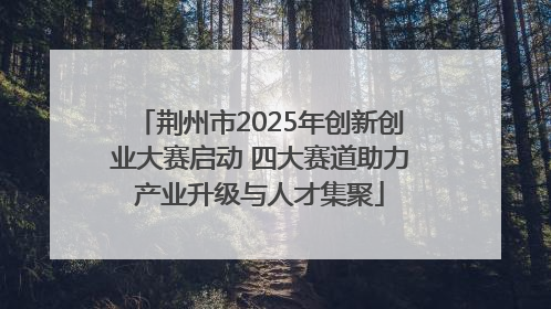 荆州市2025年创新创业大赛启动 四大赛道助力产业升级与人才集聚