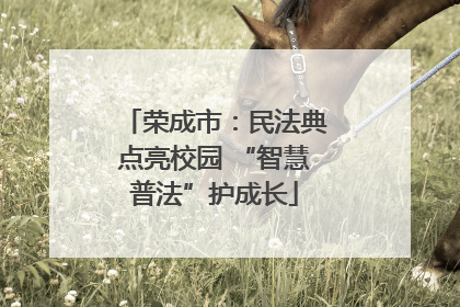 荣成市：民法典点亮校园 “智慧普法”护成长